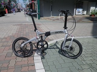birdy1.jpg